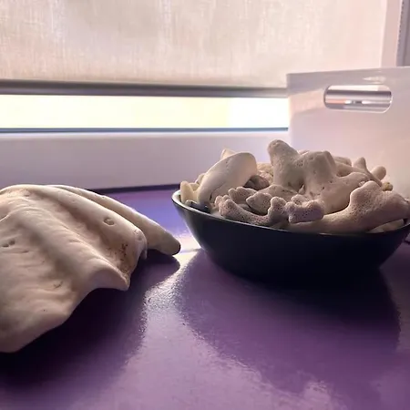 Stylish Duplex With Terrace 아파트 *